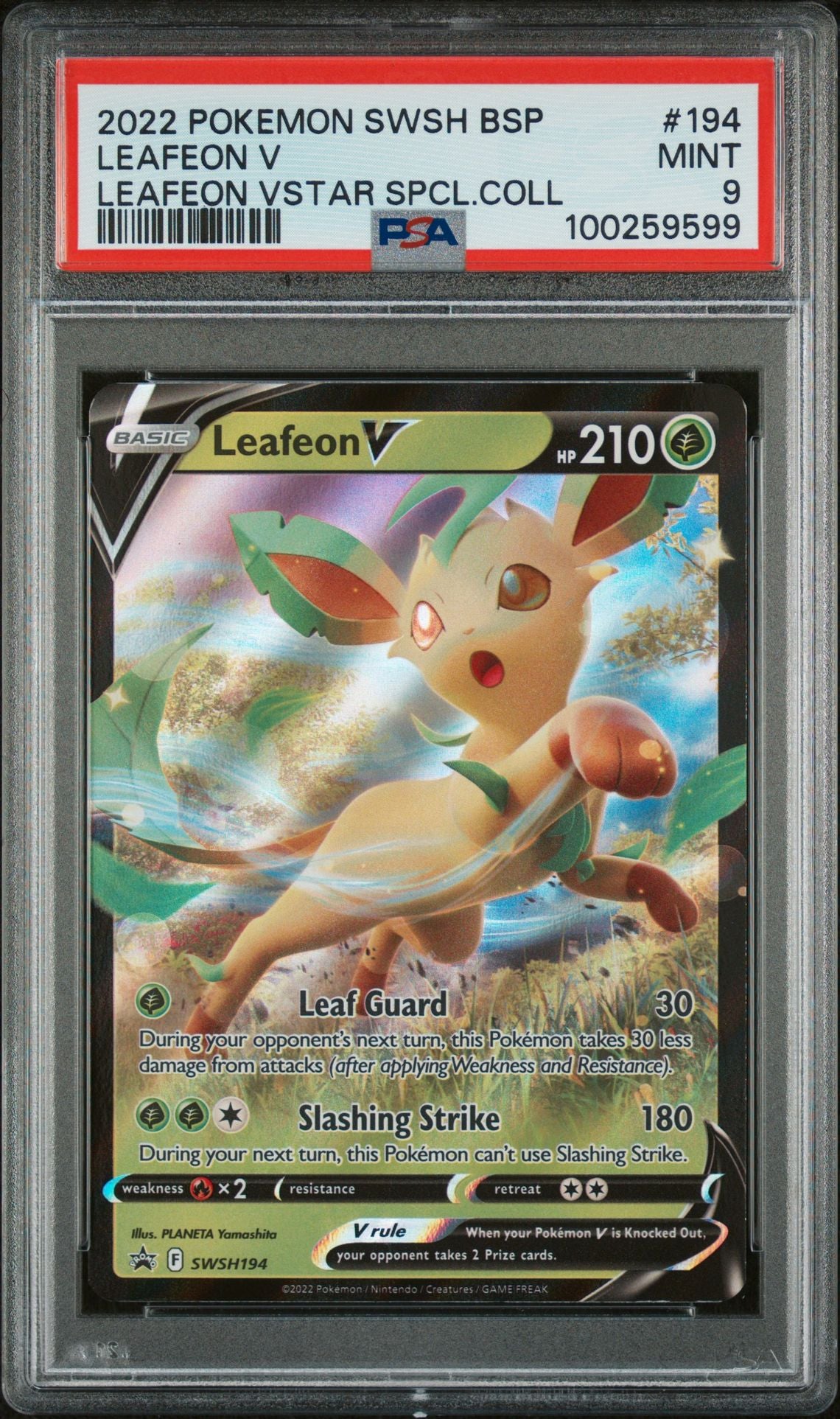 9 CARD SET - EEVEE EVOLUTIONS SET - PSA GRADED 8, 9, 10.