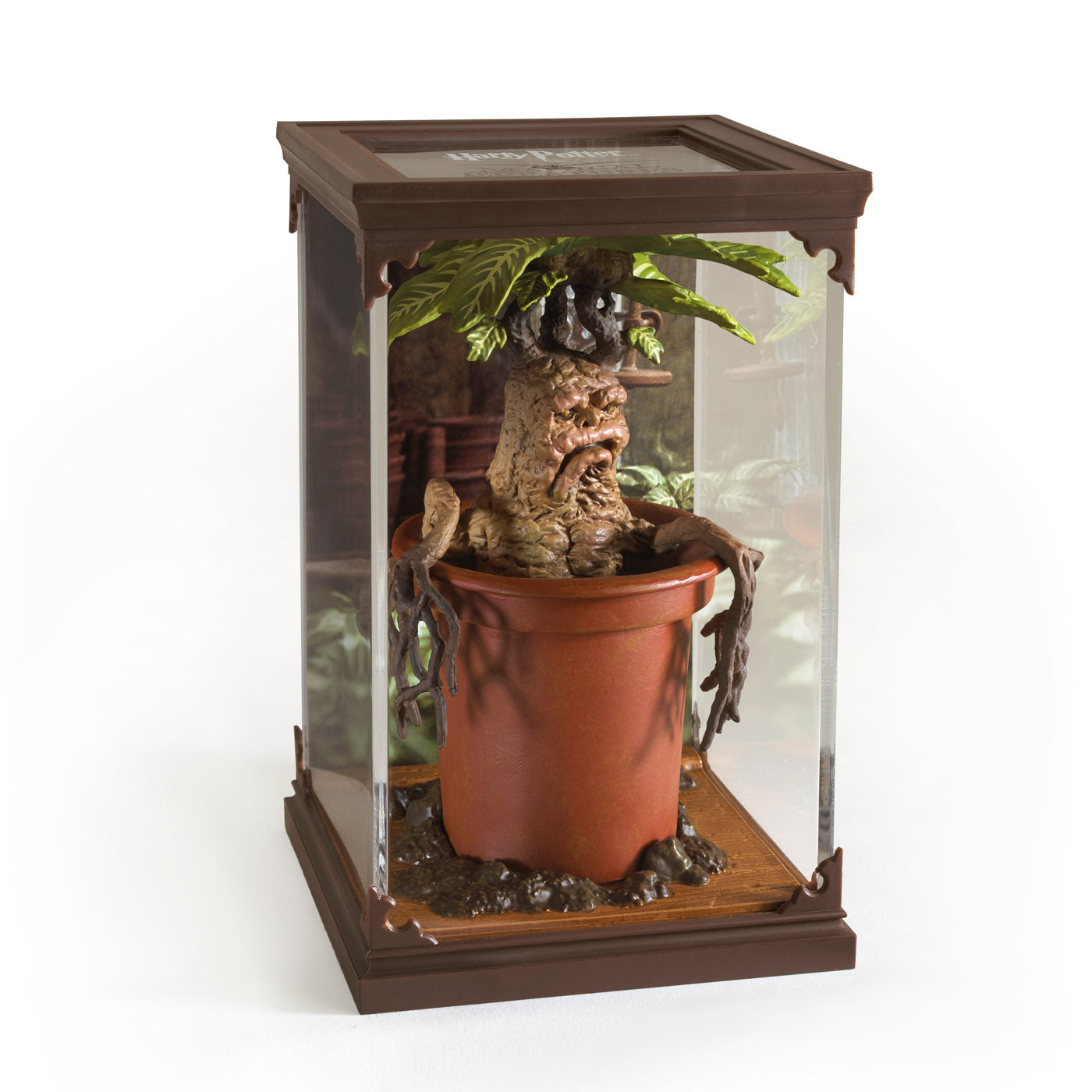 Magical Creatures No. 17 - Mandrake